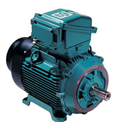 Weg Motors Electric Motor Technologies Llc