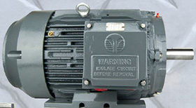 Techtop Motors - Dietz Electric Co., Inc.